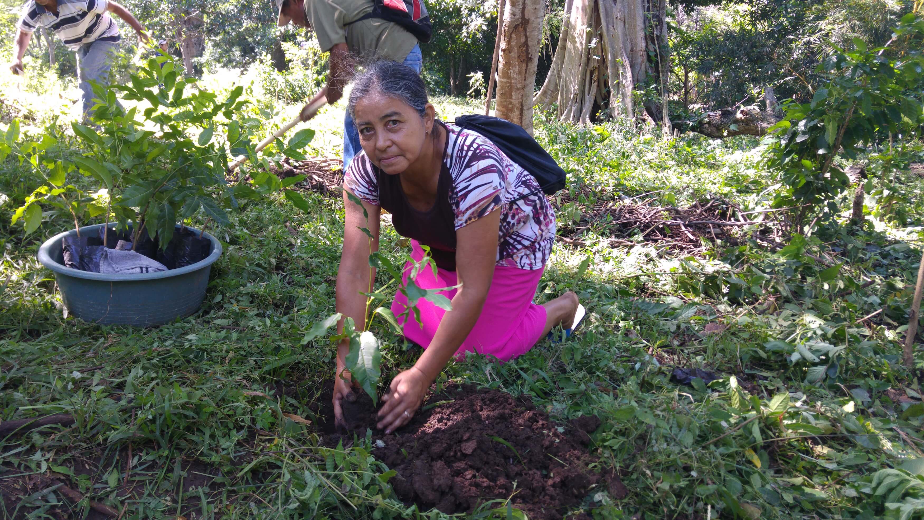 Comité ambiental de San Julián realizó campaña de reforestación