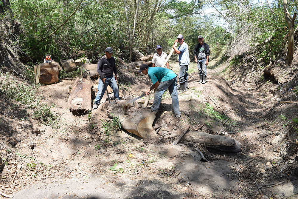 Comunidades de Ahuachapán Sur lanzan recuperación de la microcuenca El Aguacate
