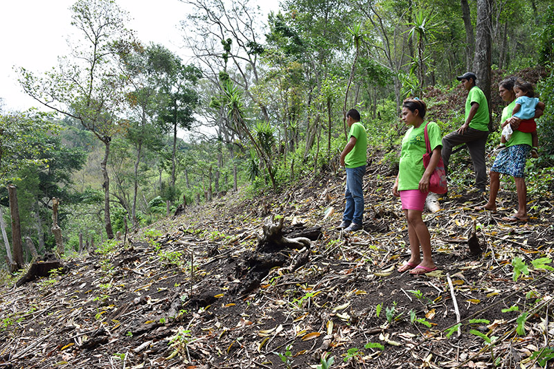 Comunidades identifican áreas deforestadas en el municipio de San Julián