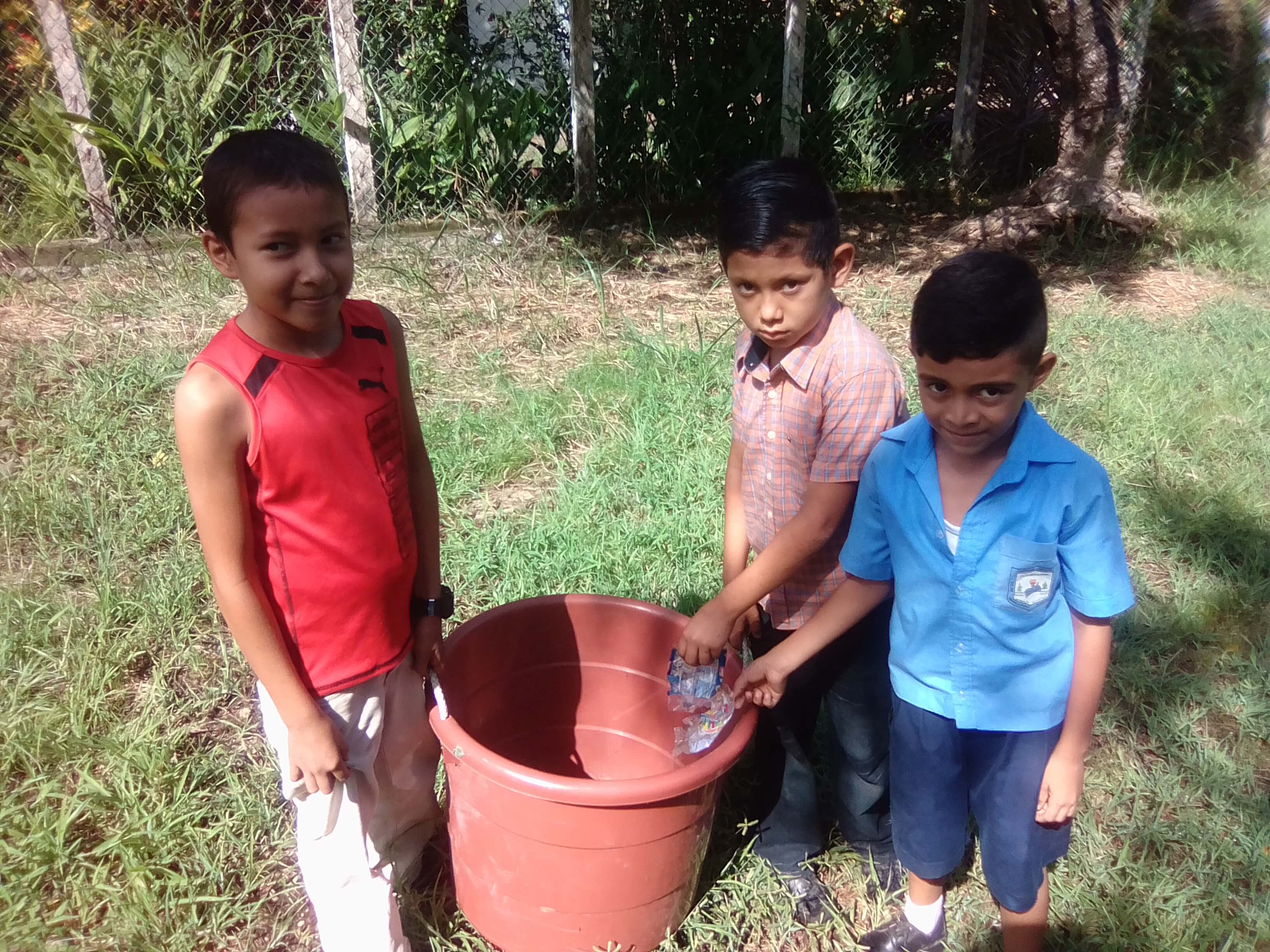 Campañas de limpieza y reforestación en Centros Escolares