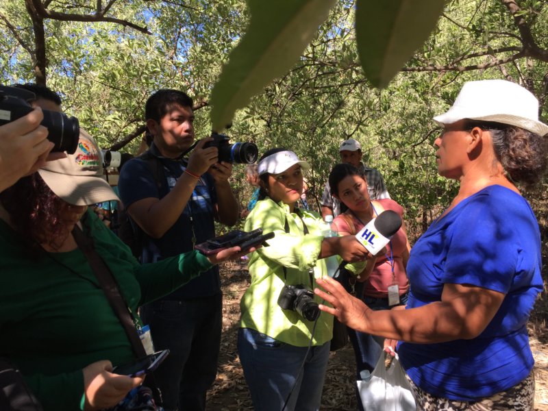 Comunidades trabajando por la protección del manglar de Garita Palmera