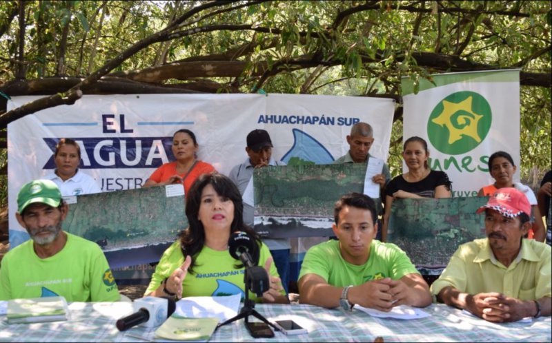 Comunidades organizadas realizan acciones de defensa del manglar de Metalío