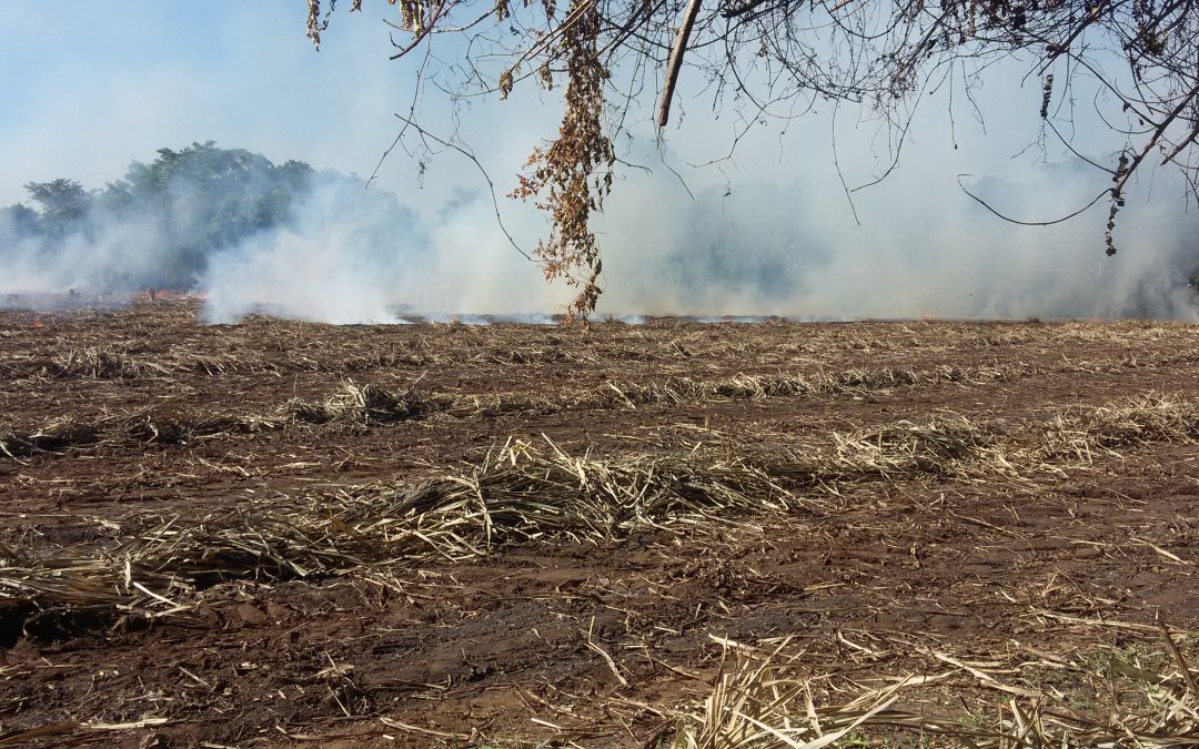 Comunicado: Incendios forestales, un reto ambiental para todos y todas en El Salvador