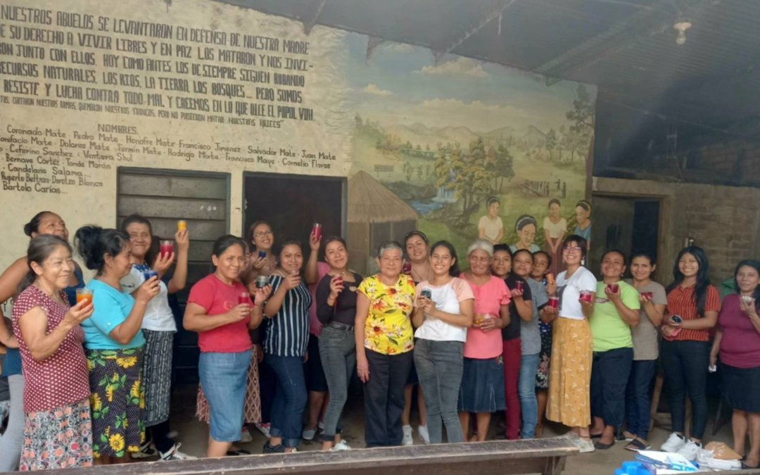 Mujeres indígenas fortalecen articulación comunitaria