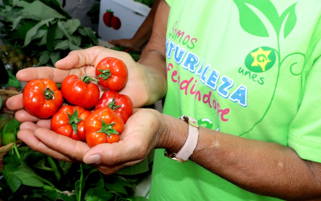 Agroecología: alternativa sustentable frente a la crisis climática y alimentaria