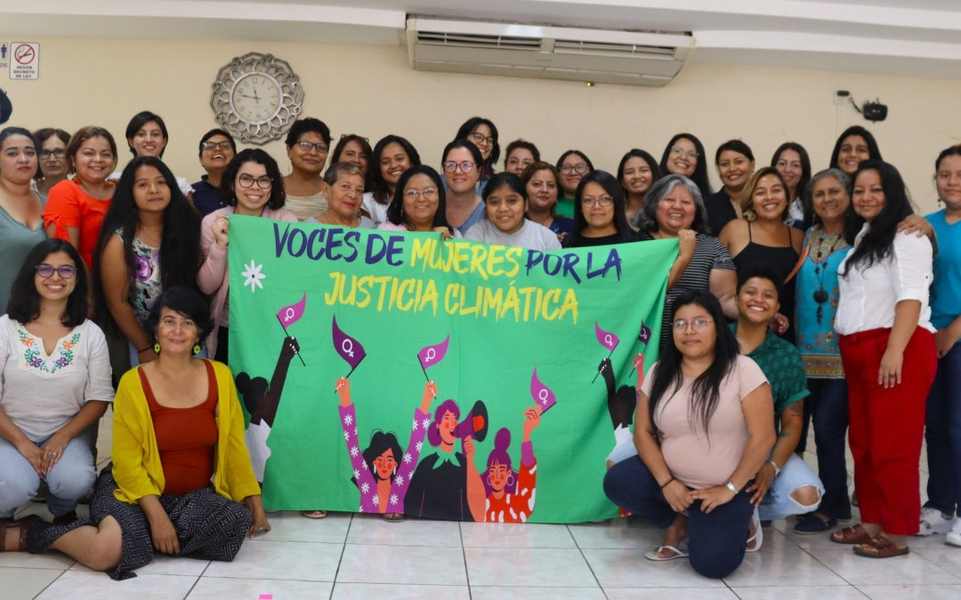Sistematización del primer “Diplomado en Ecofeminismo”