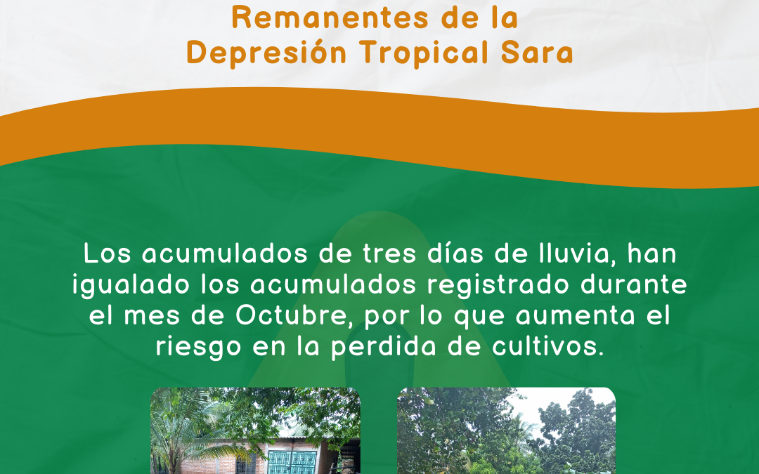 Recomendaciones para cuido de iniciativas productivas durante la emergencia por lluvias