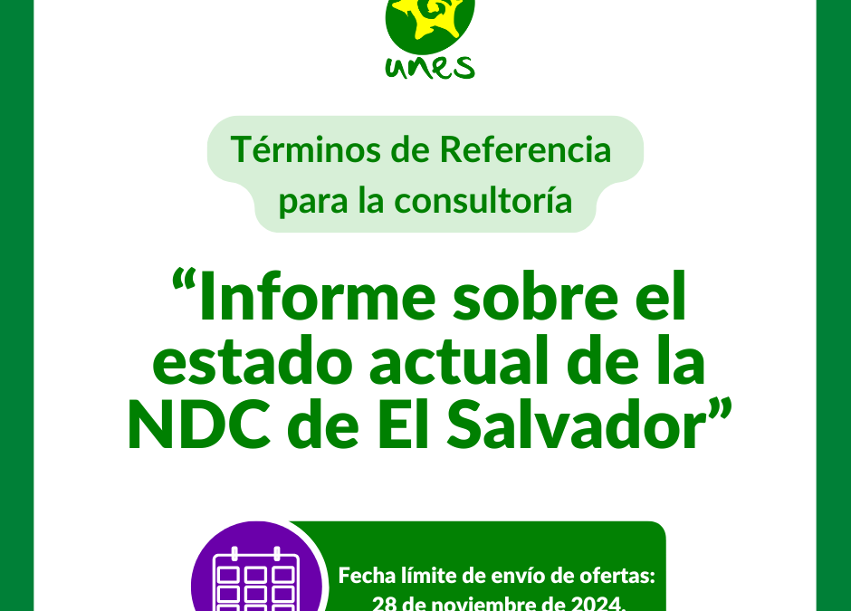 TdR: “Informe sobre el estado actual de la NDC de El Salvador”