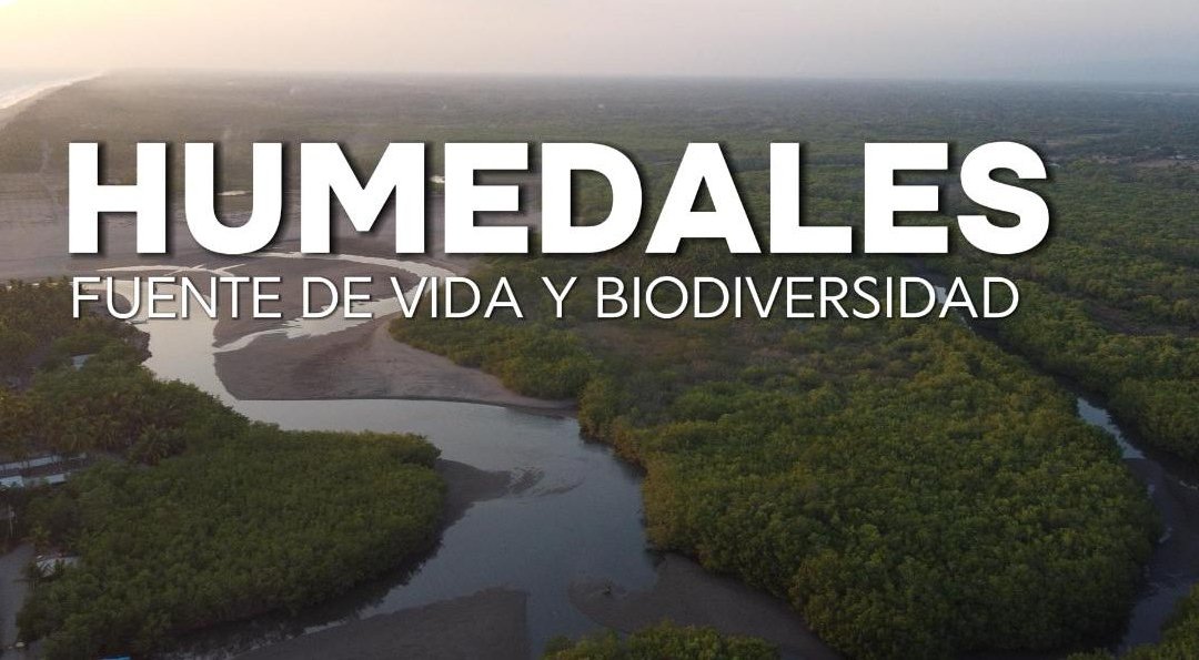 Humedales: fuente de vida y biodiversidad