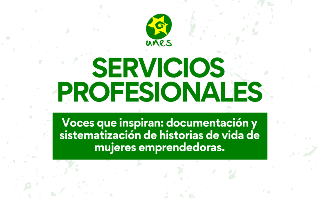 TdR: Documentación y sistematización de historias de vida de emprendedoras